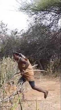 The Spirit of the Hunt – Hadzabe dengan busur dan Arrow.#foryou #wildlife #hunting #shorts