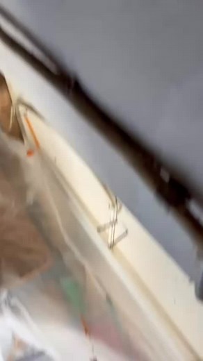 PEX Repipe | Home Repipe Plumbing