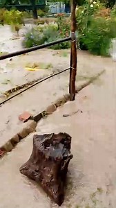 1K views | Curaj.TV on Reels | Facebook