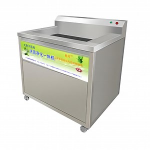 [Hot Item] Commercial Fruits and Vegetable Washer High-Tech Vegetable Washer