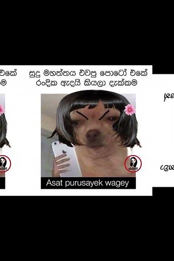 බුකියේ රස කතා අද 😂 | HC Fun Memes 🤣 #sinhala #shorts #memes Episode 2502 #athalmemes #shorts