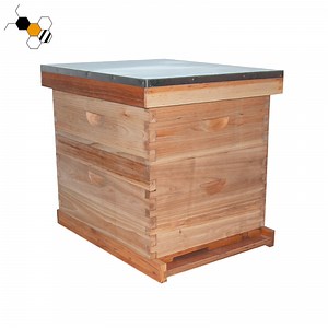 [Hot Item] Beekeeping Equipment Hive for Bees Wooden Beehive Langstroth Bee Hive Boxes