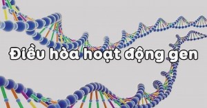 Bài tập 18 trang 13 SBT Sinh học 12