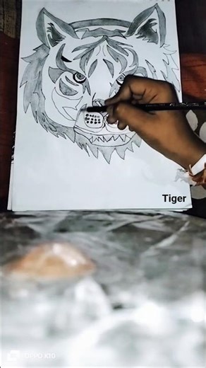 my drowing me Tiger #grid method#tiger 🐯