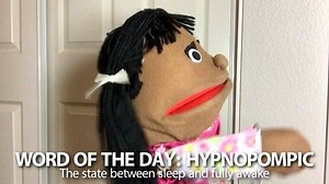 10K views · 440 reactions | Word of the Day: Hypnopompic #wordoftheday #tbt #throwback #latonka #meme TAG a friend who needs to follow! | Fluffy Friends | Facebook