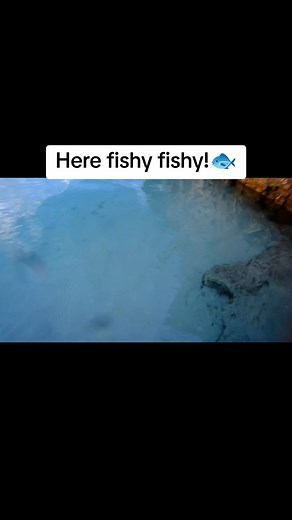 1.6K views | Snorkeling in Menorca ️ #españa #menorca #snorkeling #fish #holidays | Bored brit abroad | Facebook