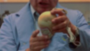 The Chemistry of Fireworks