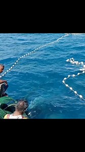 1.9K views · 18 reactions | The Most Amazing Purse Seine Net Catches a Lot of Fish #fishingnet #fish #fishing | Zami Akbar | Facebook
