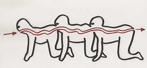 'Human centipede' business model saves 39 million tons of CO2