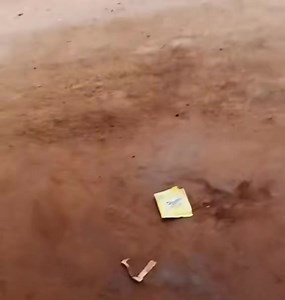 2.8K views · 67 reactions | Did she arrive in 2024 or she’s still in 2023?  | BigEye.ug | Facebook