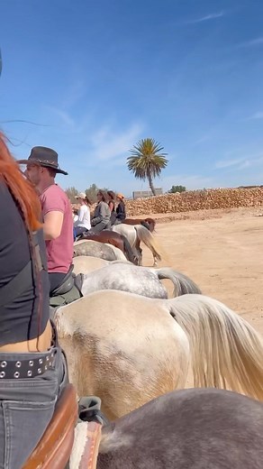 @cheval__essaouira | Cheval Essaouira