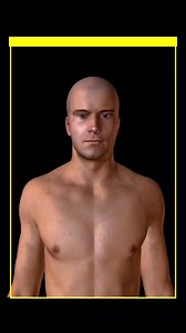 The bones in the chest are the thoracic vertebrae, the twelve pairs of ribs, and the sternum. Connecting the upper ten pairs of ribs to the sternum is the costal cartilage Real Science - The Home Of Creativity @topfans #bones #humanbody #reels #biology | Real Science - The Home Of Creativity