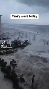 California 😮 | Boca Chica Beach Legends