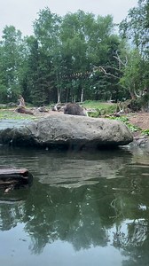 Hailey Edwards on Reels | Facebook