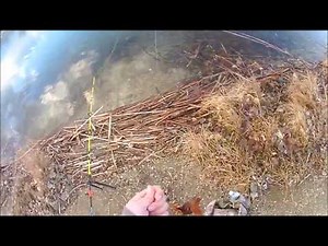 How I Bait up Hot Dogs