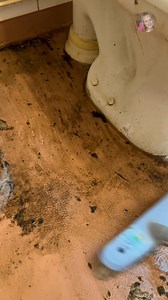 1M views · 9.8K reactions | Dirty FLOOR Asmr Cleaning #CleanTok #Cleaning #CleanWithMe #DeepClean #DeepCleaning #CleaningMotivation #CleaningTips #CleaningHacks #HomeCleaning #BeforeAndAfter #CleaningTransformation #Satisfying #OddlySatisfying #SatisfyingVideos #SatisfyingCleaning #GlowUp #Filthy #MessyRoom #BigClean #ResetDay #WeekendReset #CleanHome #CleanSpaceCleanMind #CleaningASMR #ASMRCleaning #CleaningVideos #SatisfyingProcess | Aurikatariina | Facebook