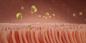 Animations - UGA VetMed