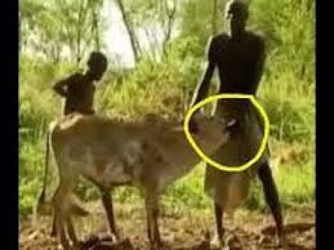 African primitive Tribes Rituals And ceremonies Culture Lifestyel (updated) 2017