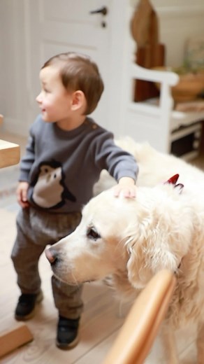 7 comments | Christmas is just around the corner, bringing joy and festive cheer✨ | Wheat | Facebook