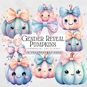 Pink and Blue Pumpkin Gender Reveal Clipart Png, Halloween Baby Shower Images, Cute Fall or Autumn Graphics for Boy or Girl Announcement - Etsy Canada