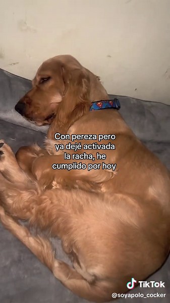 ¡Activada la Racha! Cumpliendo Por Hoy