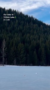 The first beautiful day! Spent in the forest. Hike to Trullium Lake! Spectacular! #trillium #trilliumlake #hike #snow #mountain #lakes #beoutdoors #oregon #mthoodnationalforest #mthood #outdoorenthusiast | Jennifer Peterson Photographer
