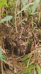 Sign #treasure #hunting | ArsoL Tv