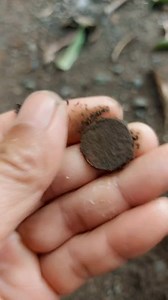 3.9K views · 33 reactions | Found a rusty coin. #short #reels #metaldetecting | GO finder | Facebook