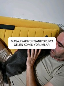 Masaj Yapıyor Sanıyorum'a Gelen Komik Yorumlar 😊 #kedi #kedilerindünyası #kediler #kedivideoları #komik