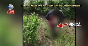Atentie, imagini socante! Scene de groaza in Capitala. Ce a putut sa faca o femeie cu cadavrul unei pisici intrece orice imaginatie posibila!