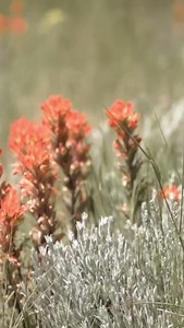 35 reactions · 3 comments | “It’s a truly lucky man who knows what he wants to do in this world”  : @kyleejoannphotography Like what you see? Then you'll love our magazine. Subscribe at  workingranchmag.com #workingranchmagazine #cowboy #ranching #cattleman #cowboywayoflife | Working Ranch Magazine | Facebook