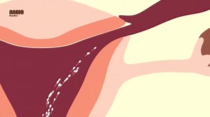 Mojobox Gen2 Conception Aid Cup with Applicator, Reusable Fertility Cup for Natural Insemination & Pregnancy Support, Soft Medical-Grade Silicone Sperm Retention Cup - Help Sperm Reach Cervix