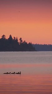 Where's our happy place? Easy. Rainy Lake's panoramic views steal the show every time. 🌅💙 https://bit.ly/3Qpa8m9 | Rainy Lake Houseboats