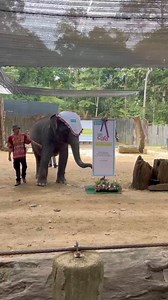 2.1K views · 18 reactions | BSN Malaysia on Reels | Facebook