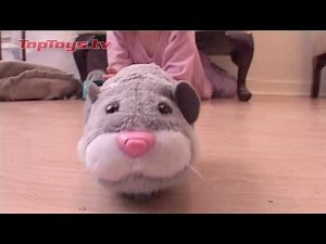 GoGo Hamsters - Zhu Zhu Pets Big day out