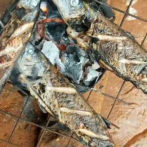 19K views · 517 reactions | Butunga, Kigoma | Kigoma Region Tanzania | Facebook