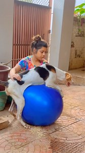 41M views · 4.5K reactions |  . . This work is not possible without...