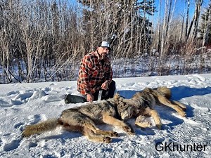 S2 E9 wolf trapping double