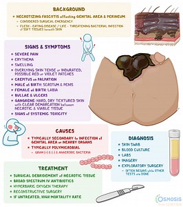 Fournier Gangrene: What Is It, Causes, Signs and Symptoms, and More | Osmosis
