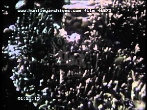 Snorkelling and Underwater Fishing, 1940's - Film 46875