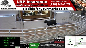 3.3K views · 32 reactions | ✅ To bid online, visit:...