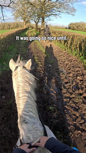 The Thrills and Spills of Bareback Horse Riding