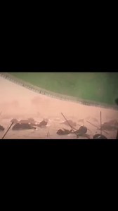 #السلام على جبل الصبر #السلام على الصديقة الصغرى | حسين جابر البطاط