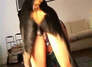 Zooskool stray x dog denim