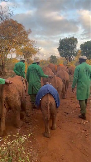 28K views · 7.5K reactions | Under the gentle leadership of Kerrio,...