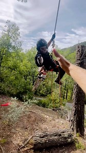 Quand ta team en bas gère bien la rétention quel régale 🤩👌🏼👏🏼 #élagage #abattage #pin #élagueur #stihl #ms500i | French Riviera Gardener