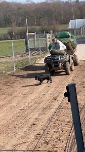 11K views · 151 reactions | Becky ain’t doing 2 trips  Trickle Net stacking is an art  | Gawsworth Track Livery | Facebook