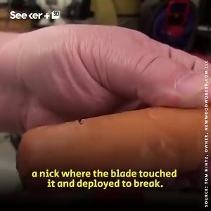2.1M views · 4.5K reactions | Sawed-off fingers are a thing of the past with this technology. Here’s how SawStop does it. | Seeker by The Verge | Facebook
