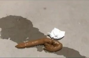 Naughty public pooping