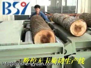 Machines for Making Veneer,Plywood,Blockboard